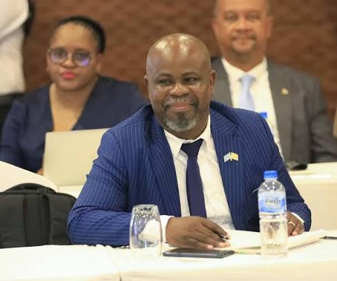 Hon. Letlhogonolo Barongwang at a formal engagement